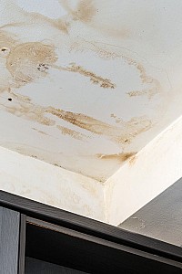 mehrleistung 281690442